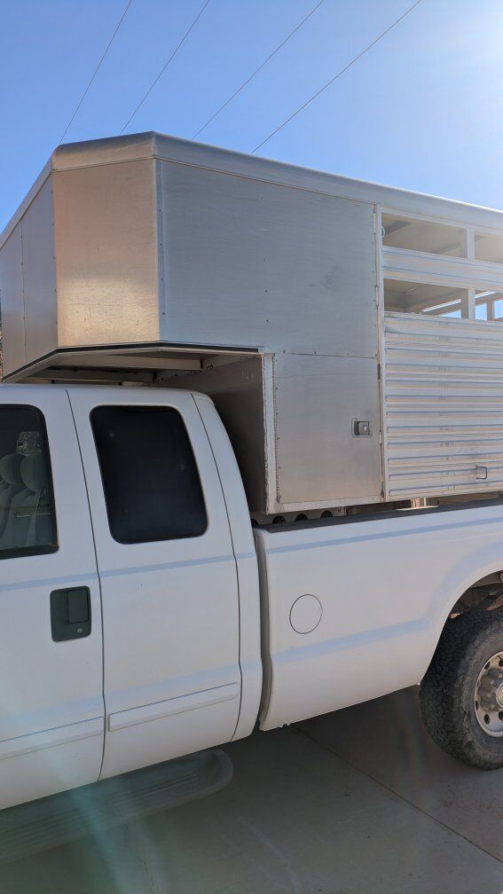 sheep / mule / horse hauler
