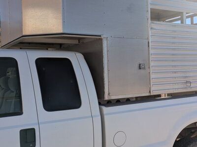 sheep / mule / horse hauler