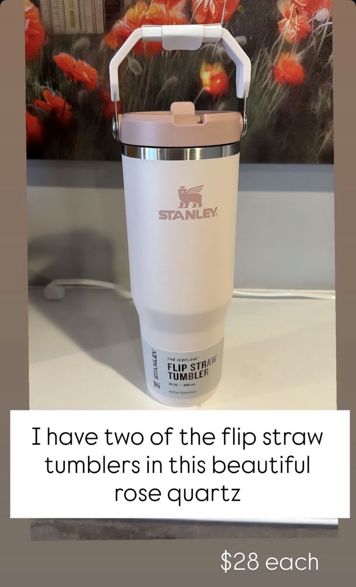 Flip Straw, Stanley Tumblers 30oZ