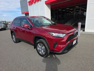 2023 Toyota RAV4 XLE