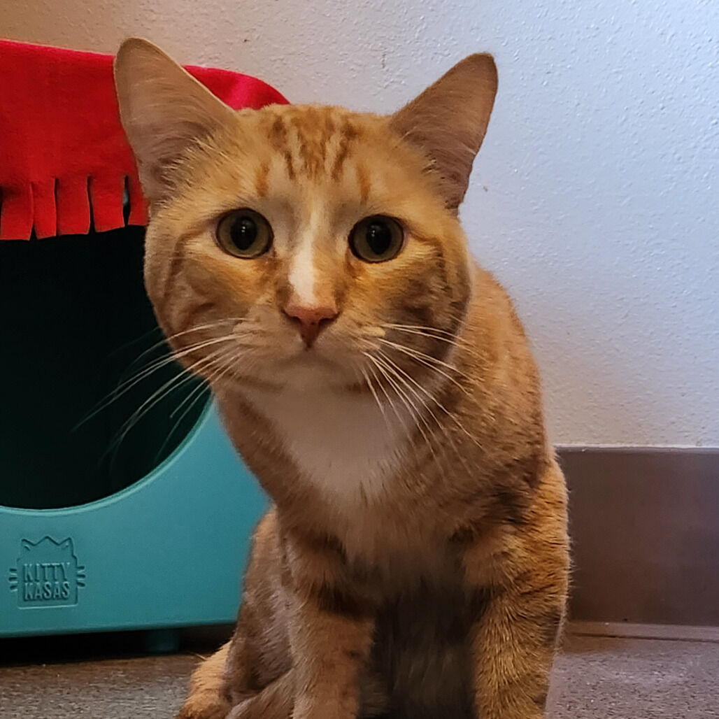 Hello my name is Mandalay