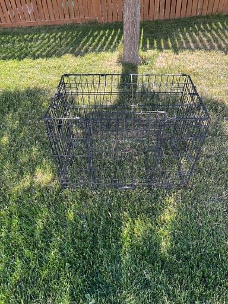 Free Dog Cage