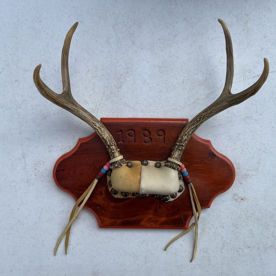 Vintage 1989 Mounted Deer Antlers on Wooden Plaque with Leather and Beads