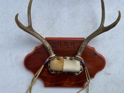 Vintage 1989 Mounted Deer Antlers on Wooden Plaque with Leather and Beads