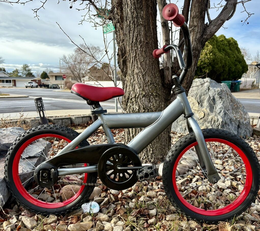 16 Inch Bike Ready To Ride