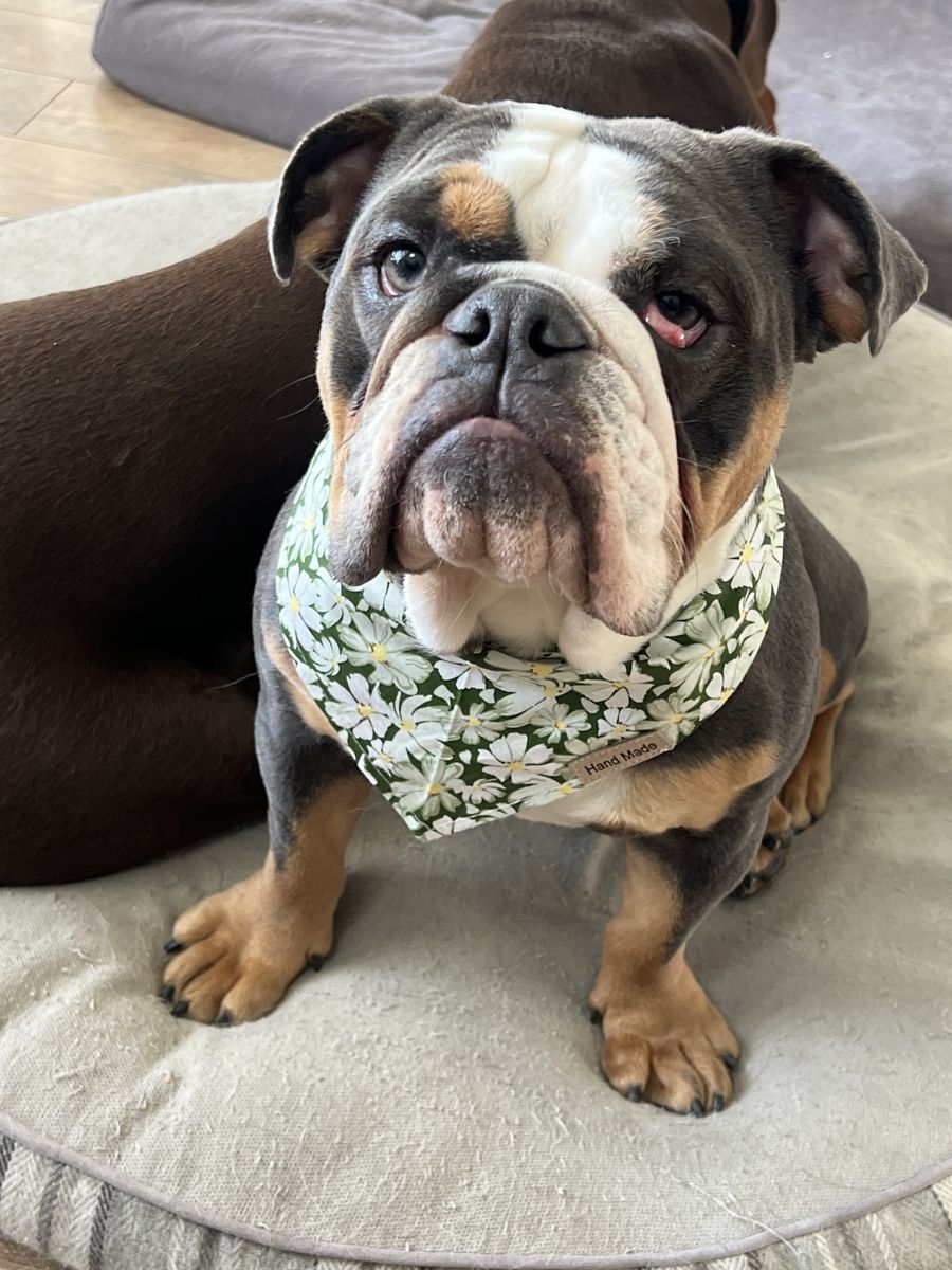 Clothing Sale & Bake Sale - Fundraiser