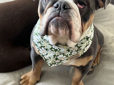 Clothing Sale & Bake Sale - Fundraiser