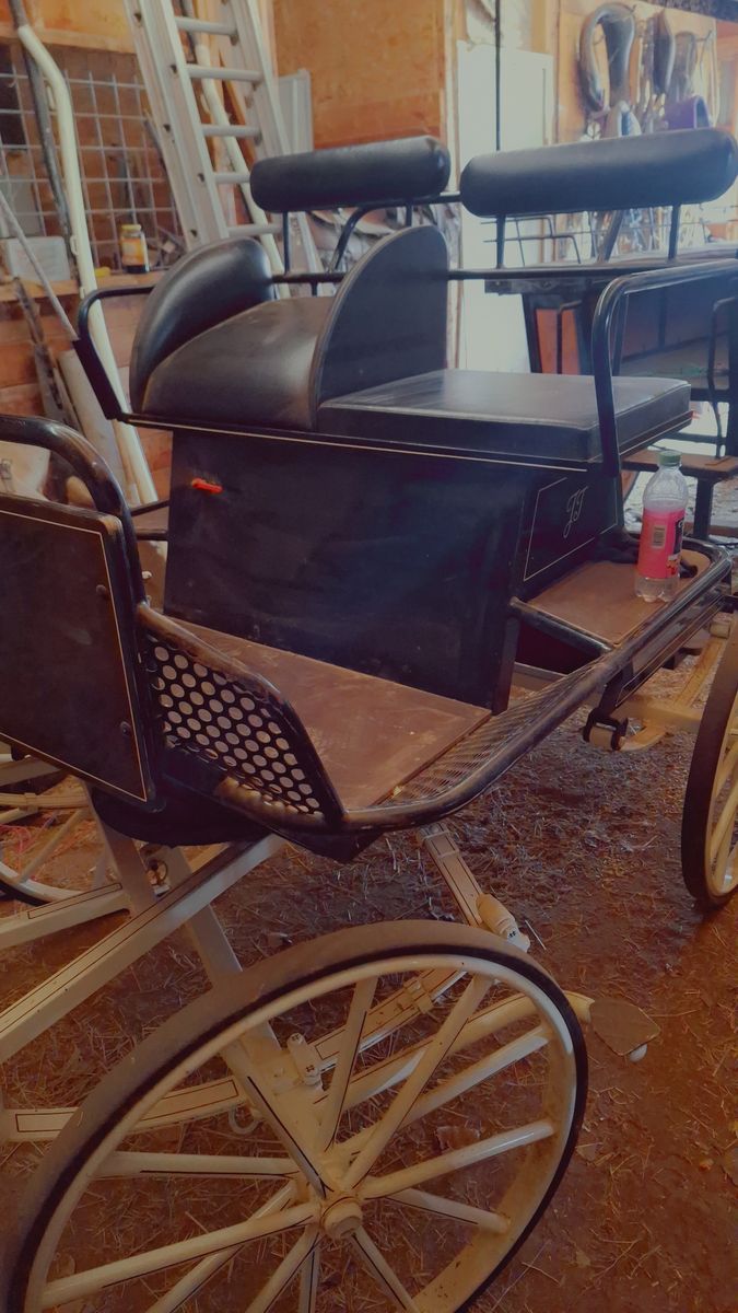 Holland  Compition horse carriage