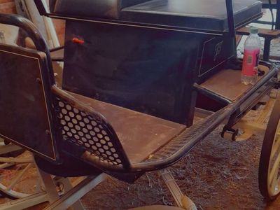 Holland Compition horse carriage