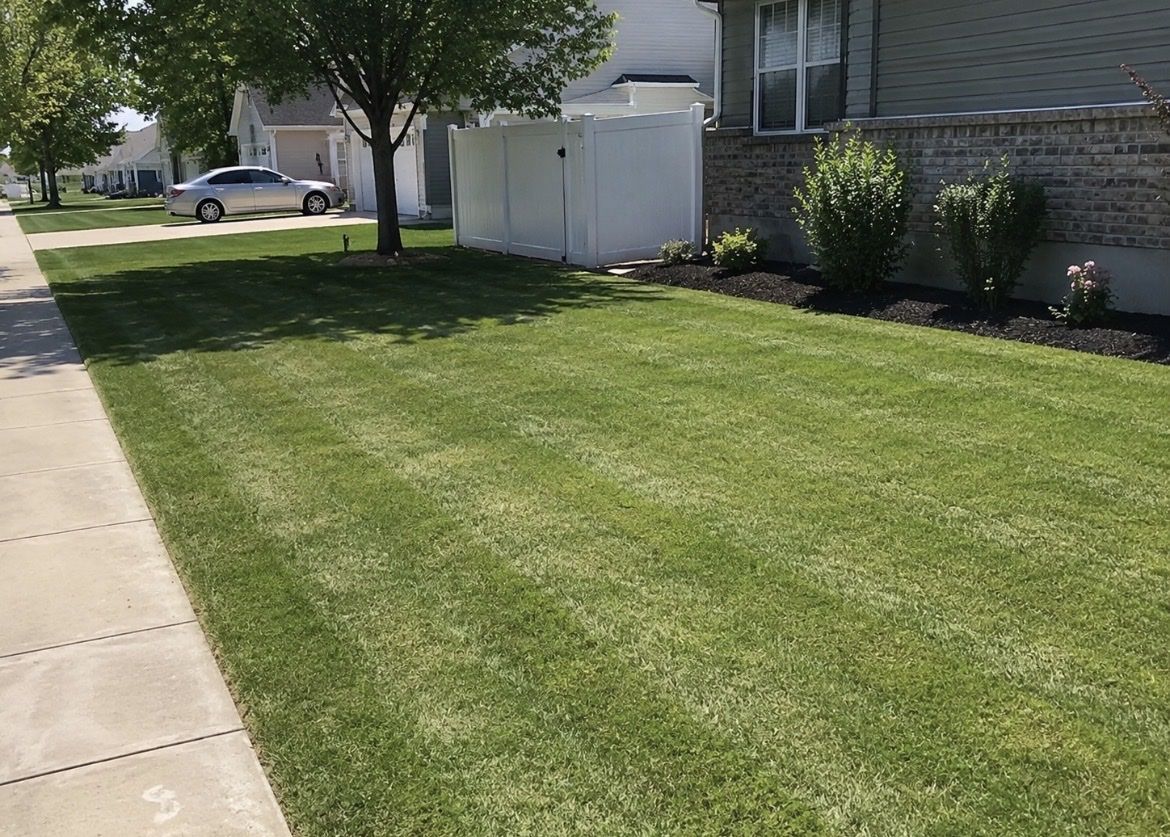 Lawn Mower
