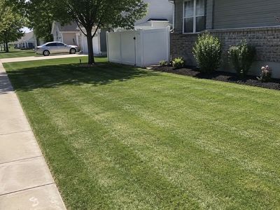 Lawn Mower