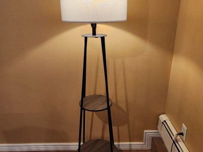 FREE Floor Lamp
