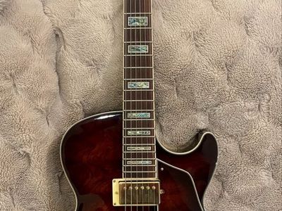 Ibanez Artcore AG95 Bubinga Jazz Guitar