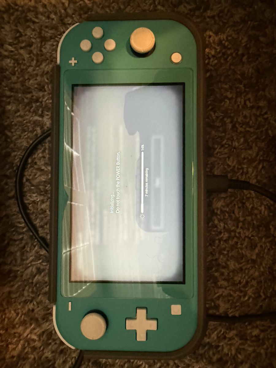 Nintendo switch lite