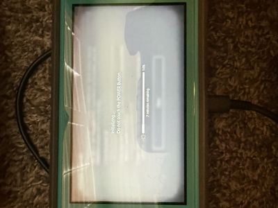 Nintendo switch lite