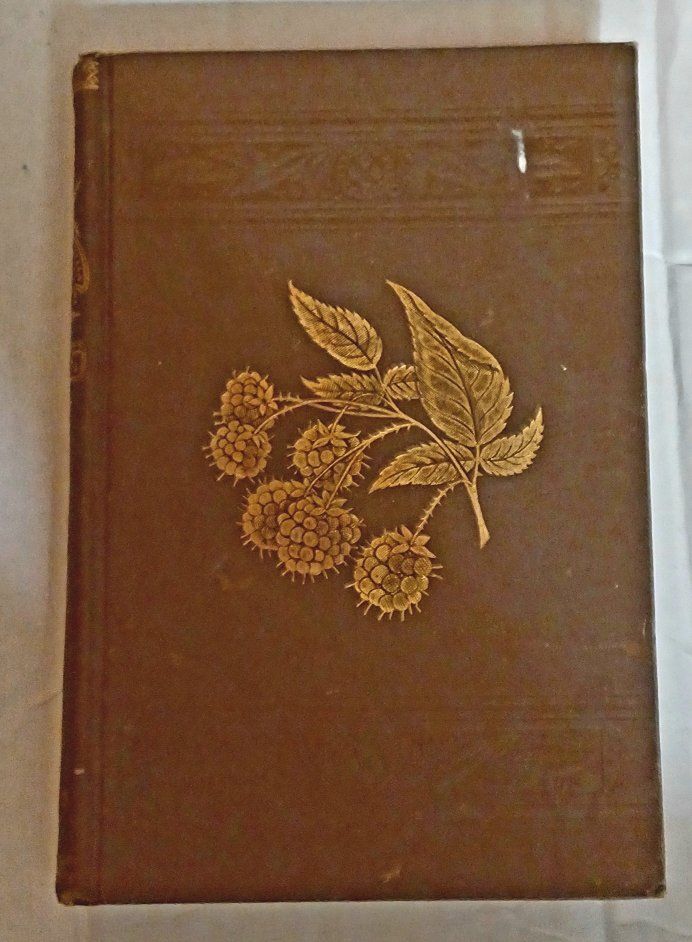 Rare 1900 Andrew S. Fuller "The Small Fruit Culturist" Hardcover Book with Illustrations