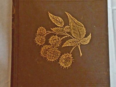 Rare 1900 Andrew S. Fuller "The Small Fruit Culturist" Hardcover Book with Illustrations