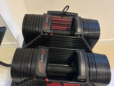 Powerblock Dumbells And Rep Fitness Bench