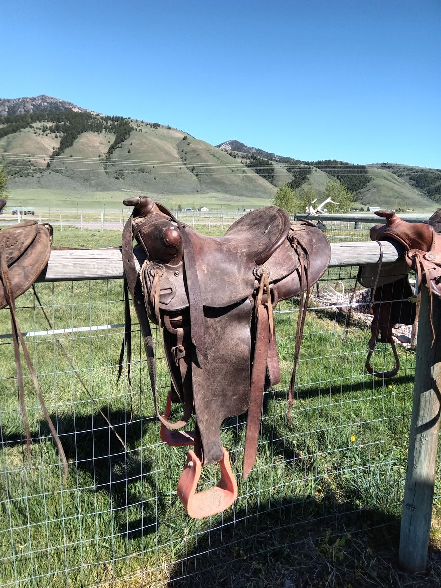 saddle