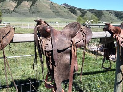 saddle