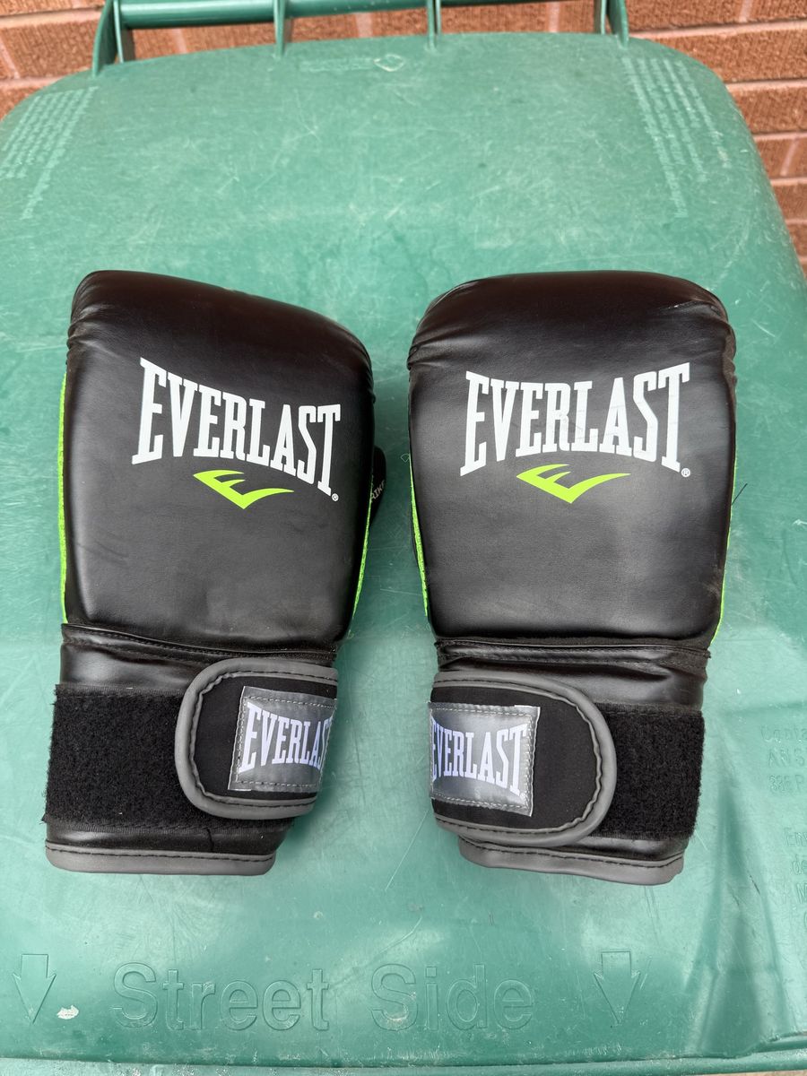 Everlast Boxing Gloves 