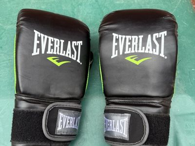 Everlast Boxing Gloves