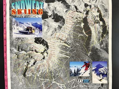 Snowcat Skiing Selkirk Mountains Travel Poster