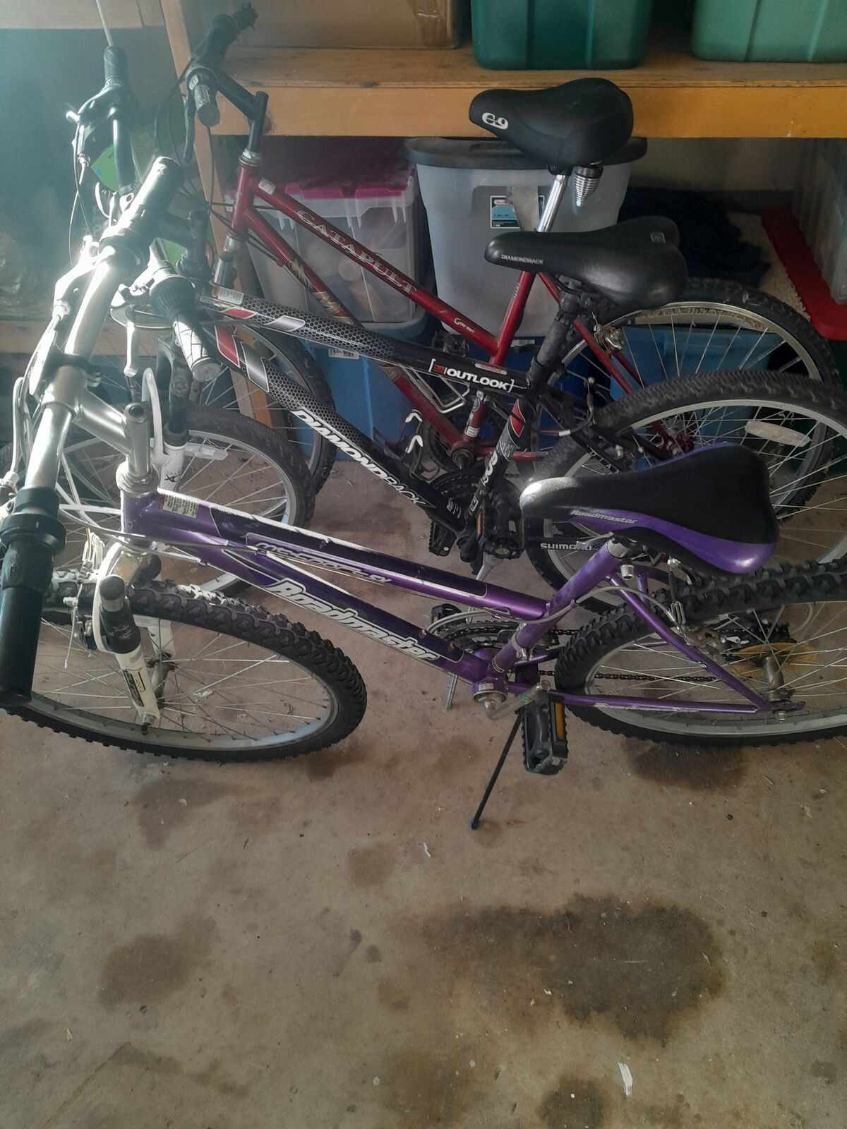 Adult Bikes - $20