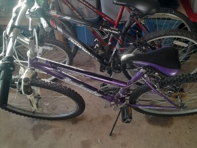 Adult Bikes - $20