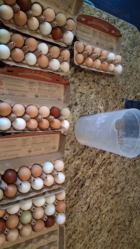 Hatching Eggs