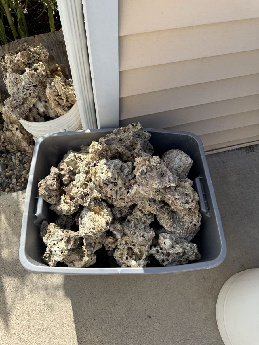 Assorted Live Rock / Base Rock for Saltwater Aquarium Aquascaping