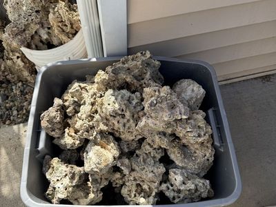 Assorted Live Rock / Base Rock for Saltwater Aquarium Aquascaping