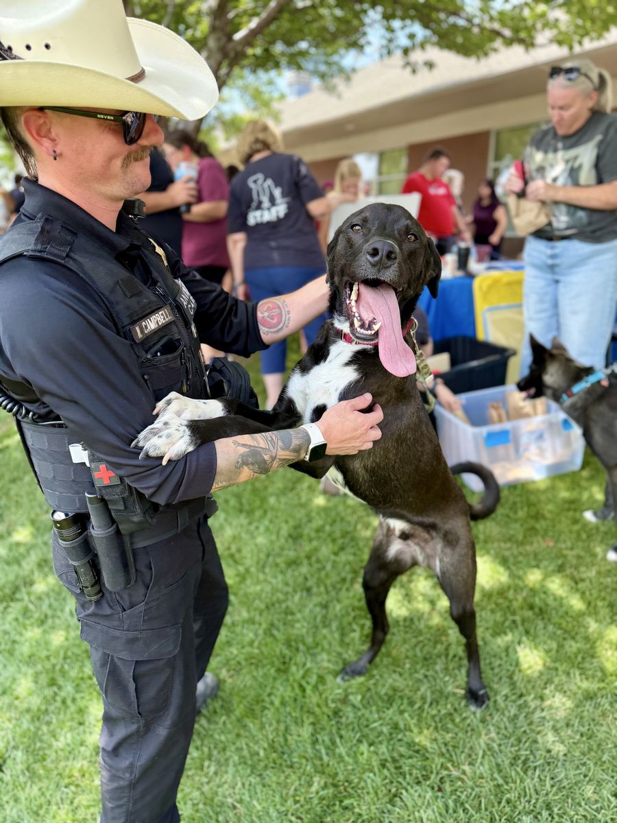 Adopt Kiwi!