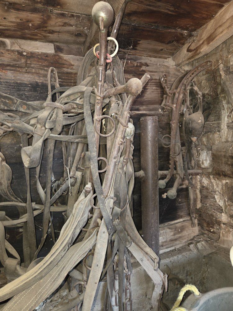 Main image 3