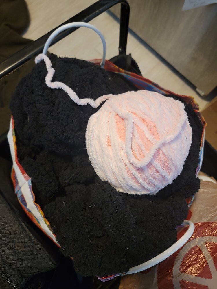 yarn, tablet, cat sweatshirt, other things