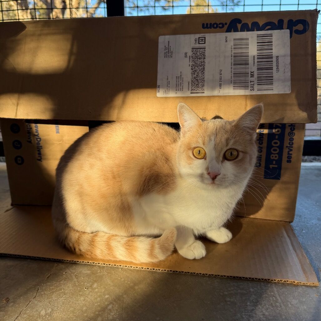 Hello my name is Kala