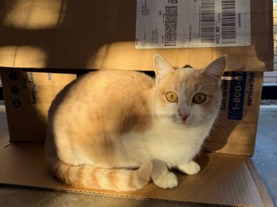 Hello my name is Kala