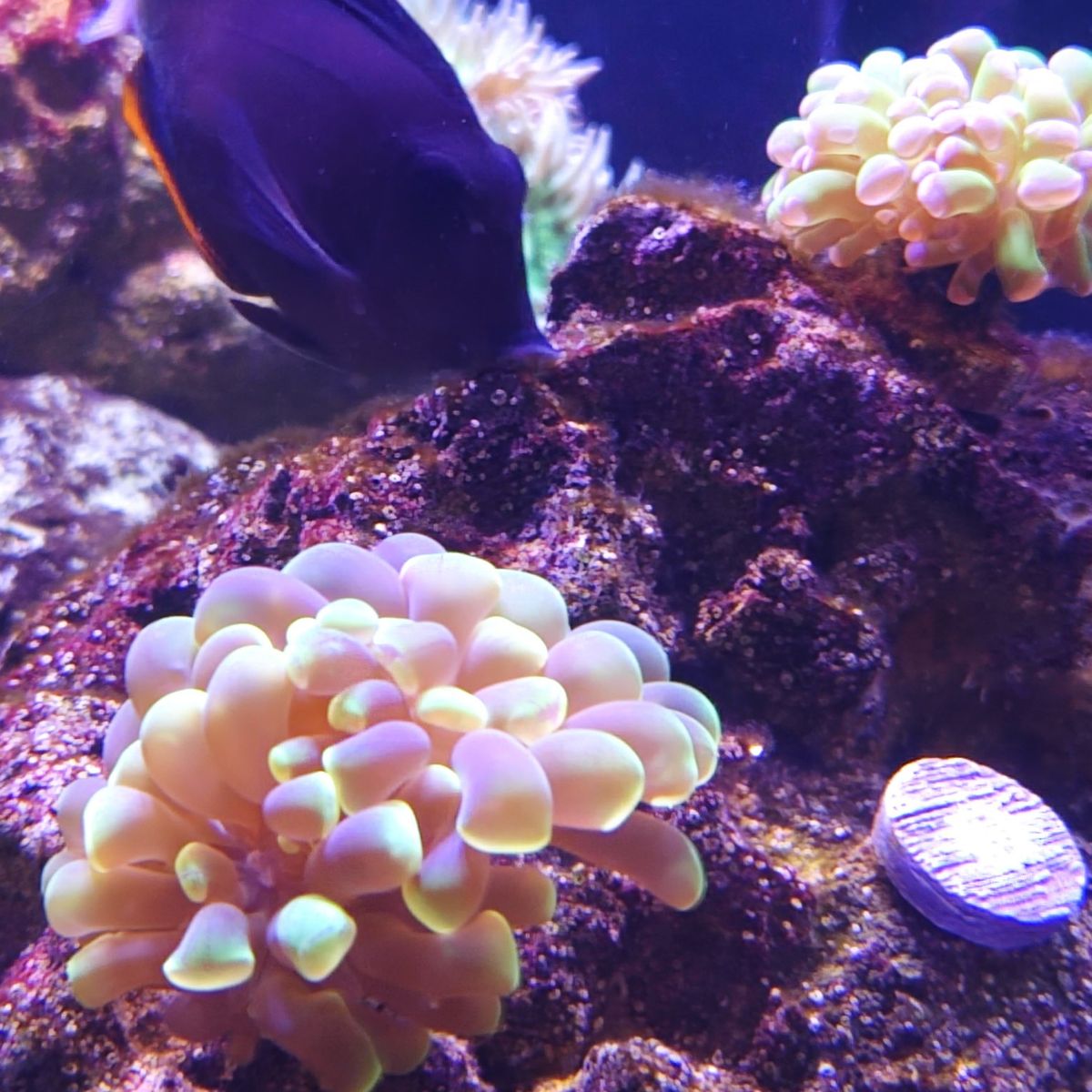 Fish Tank Eqipment