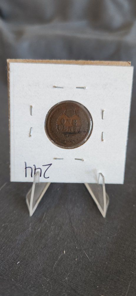 Main image 6
