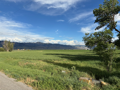 BUILDABLE 1.4 ACRE LOT FOR SALE IN LEWISTON UTAH / (PENDING)