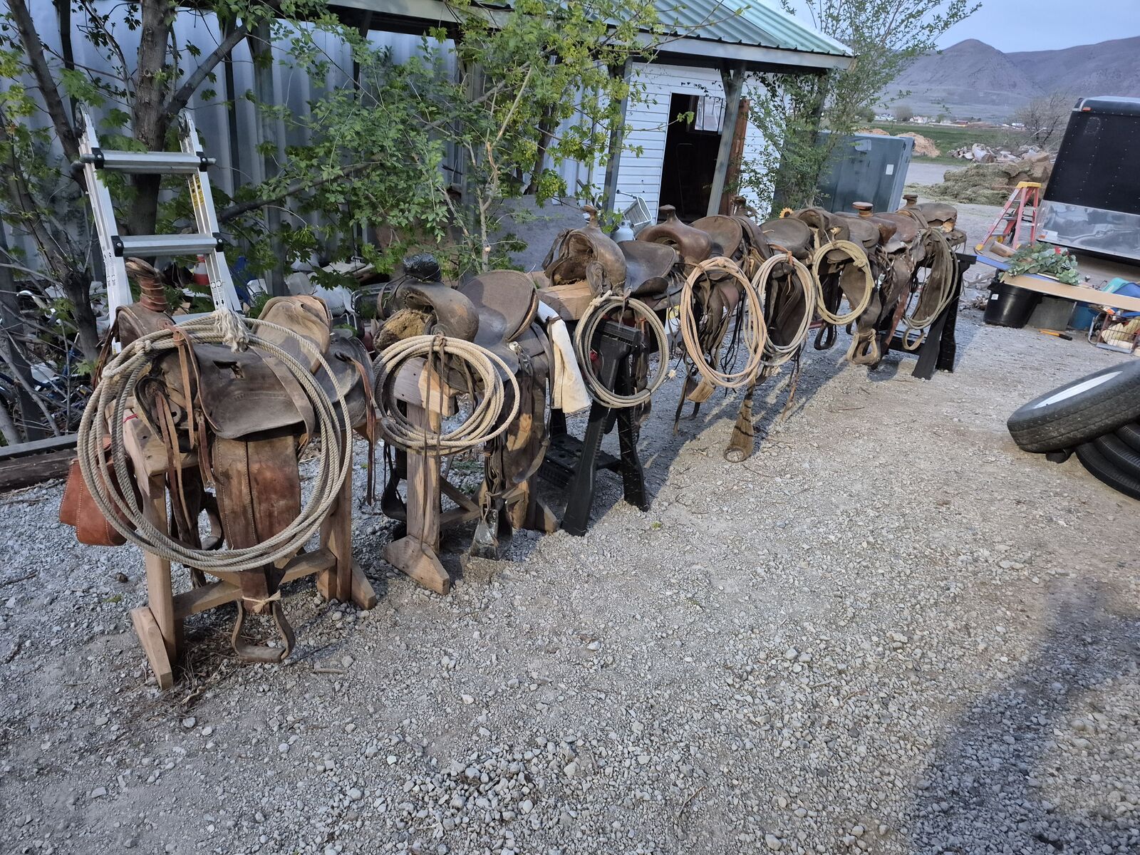 Old Saddles With Lariat's For Decoration for Sale