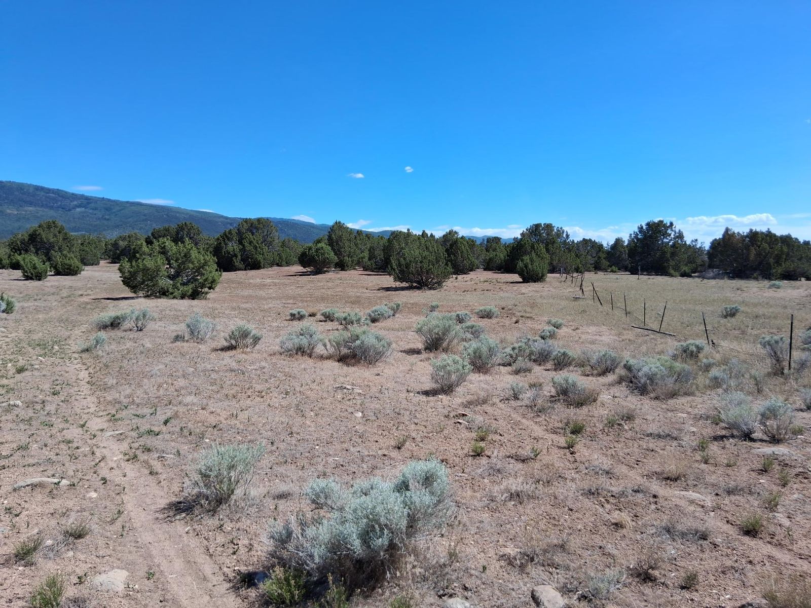 Main image 17