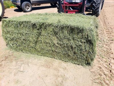 3x3 Grass hay bales