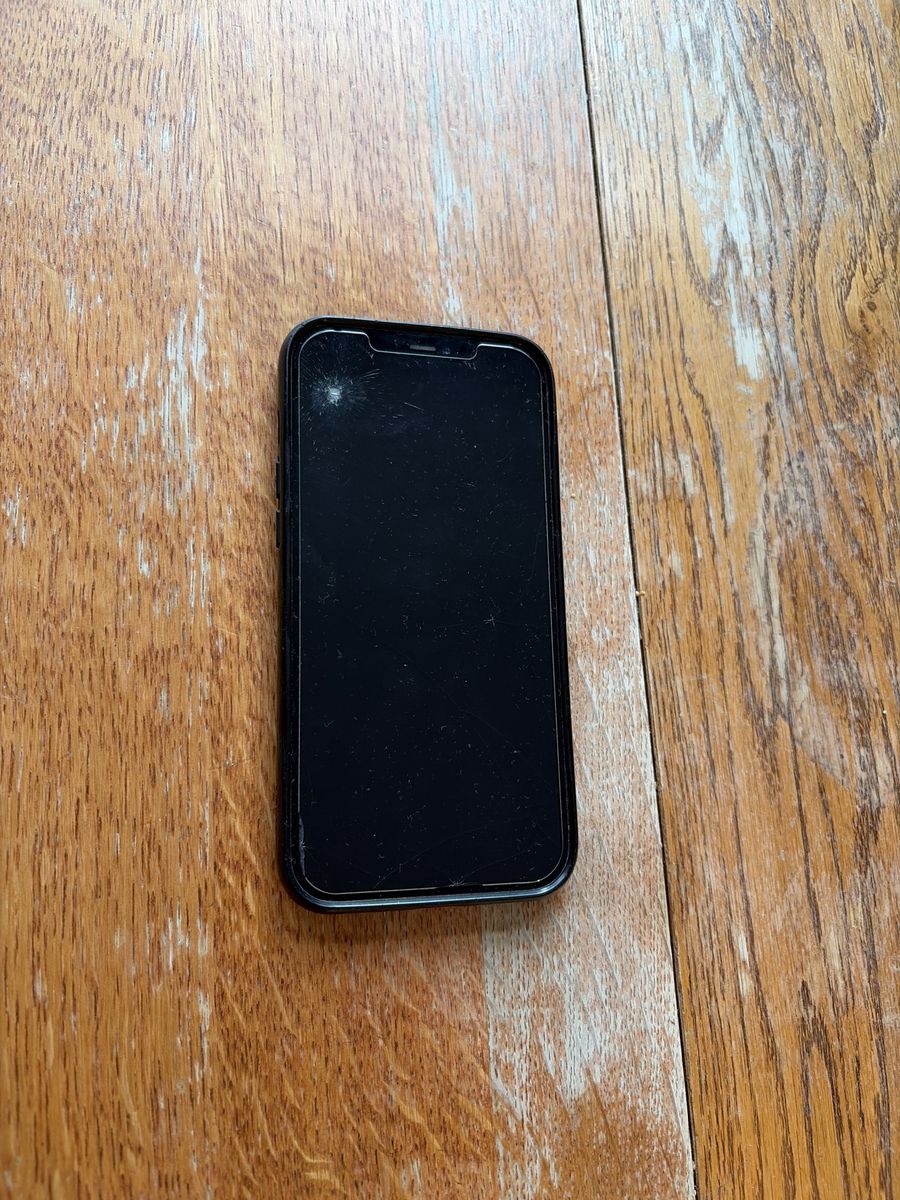 iPhone 12 Pro Max 256 GB