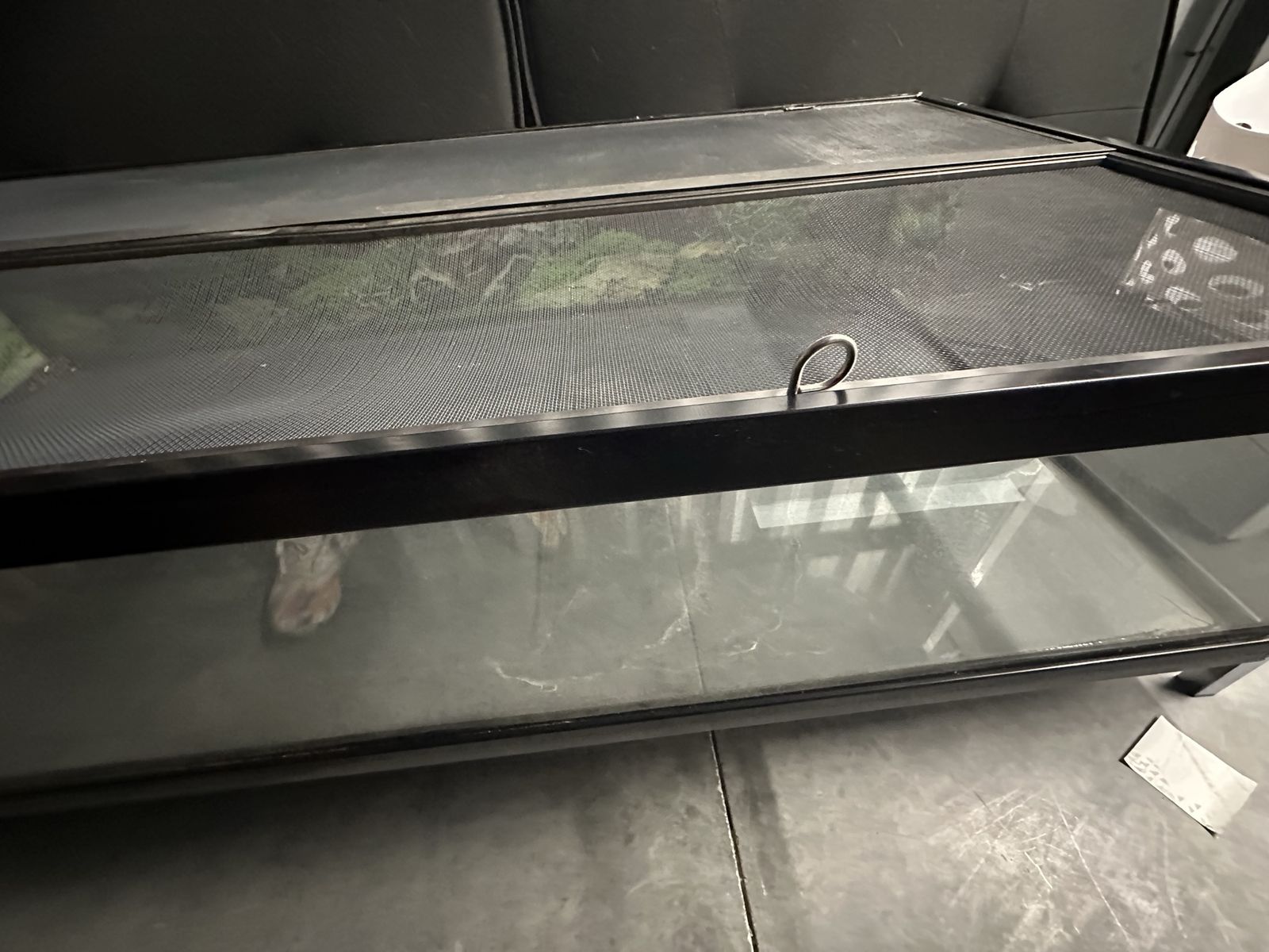 Main image 3