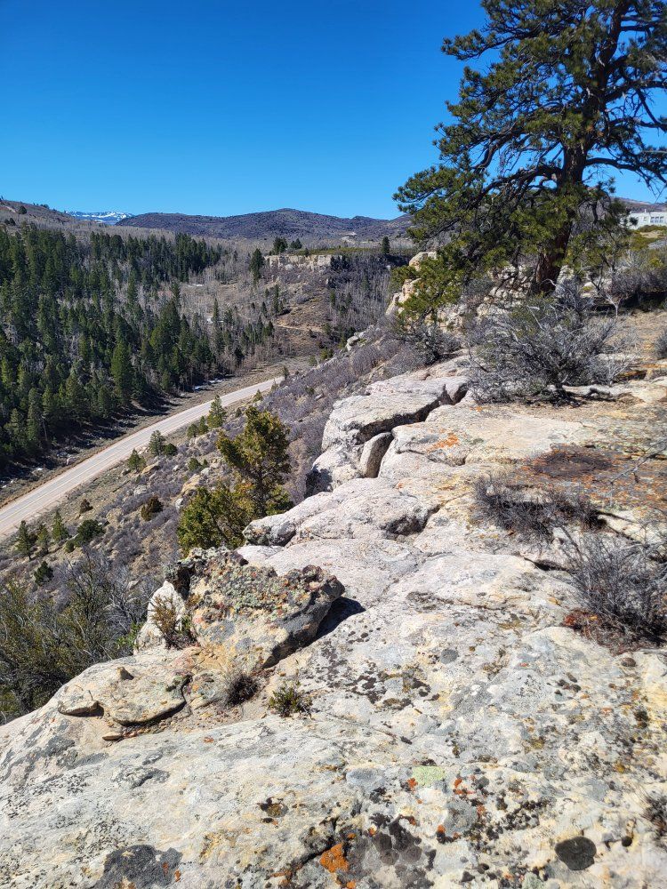 Main image 6