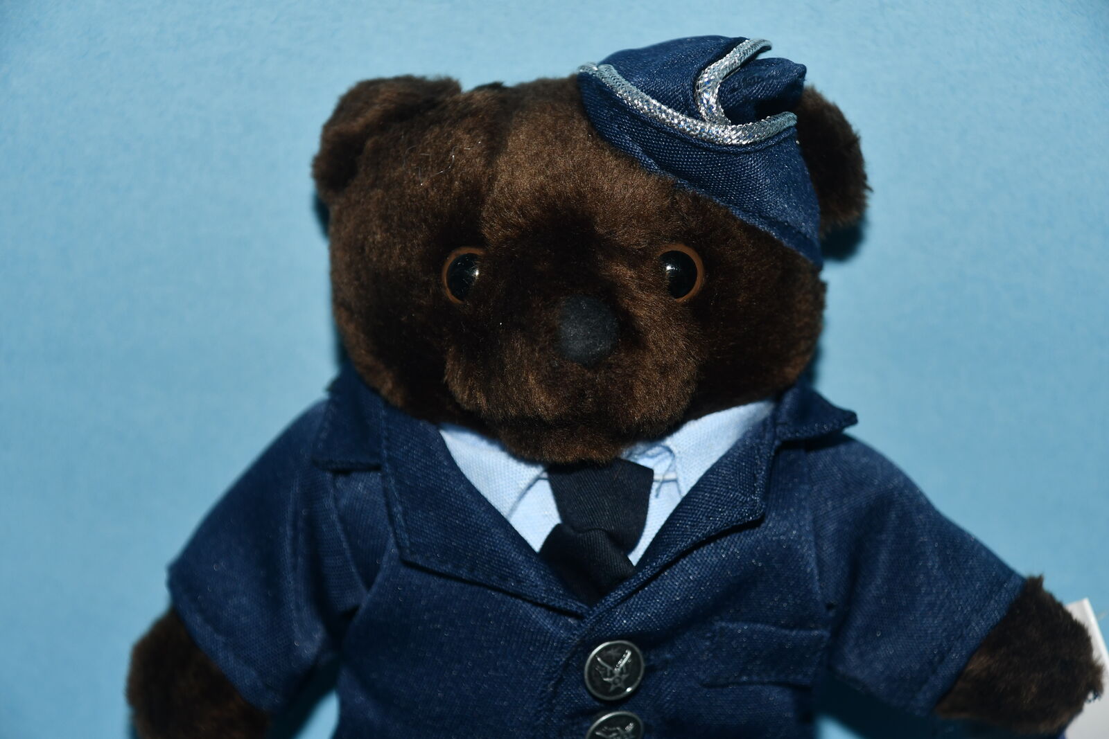 VINTAGE "BEARS OF AMERICA" AIR FORCE STUFFED BEAR ~ HEIGHT 10" ~ CLEAN!