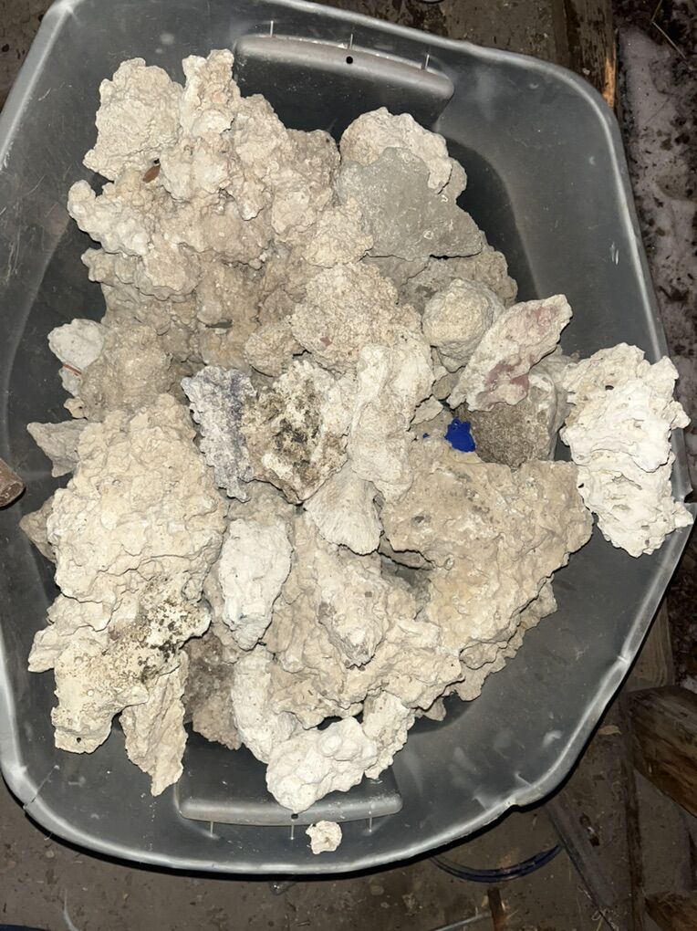 Saltwater Coral (dry Rock)