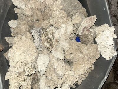 Saltwater Coral (dry Rock)