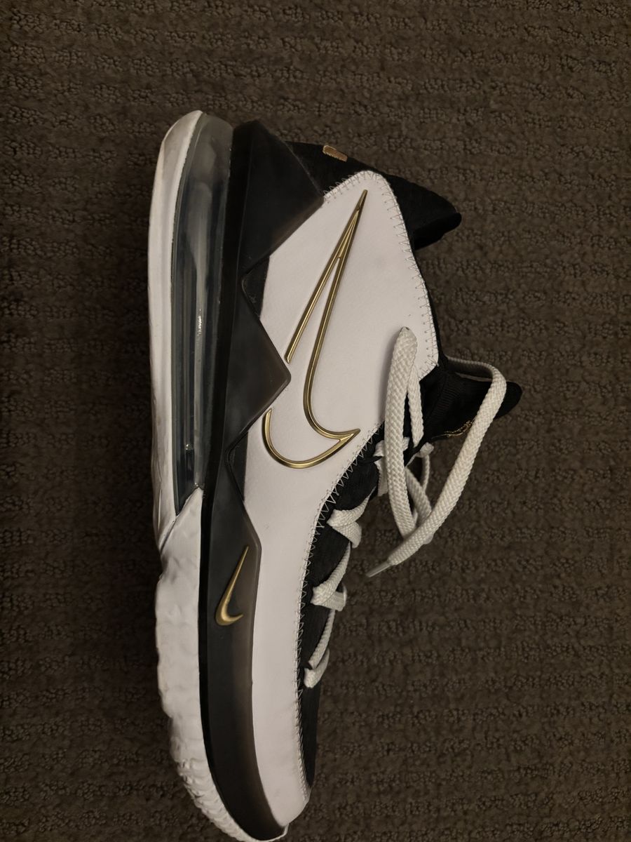 Nike Lebron 17